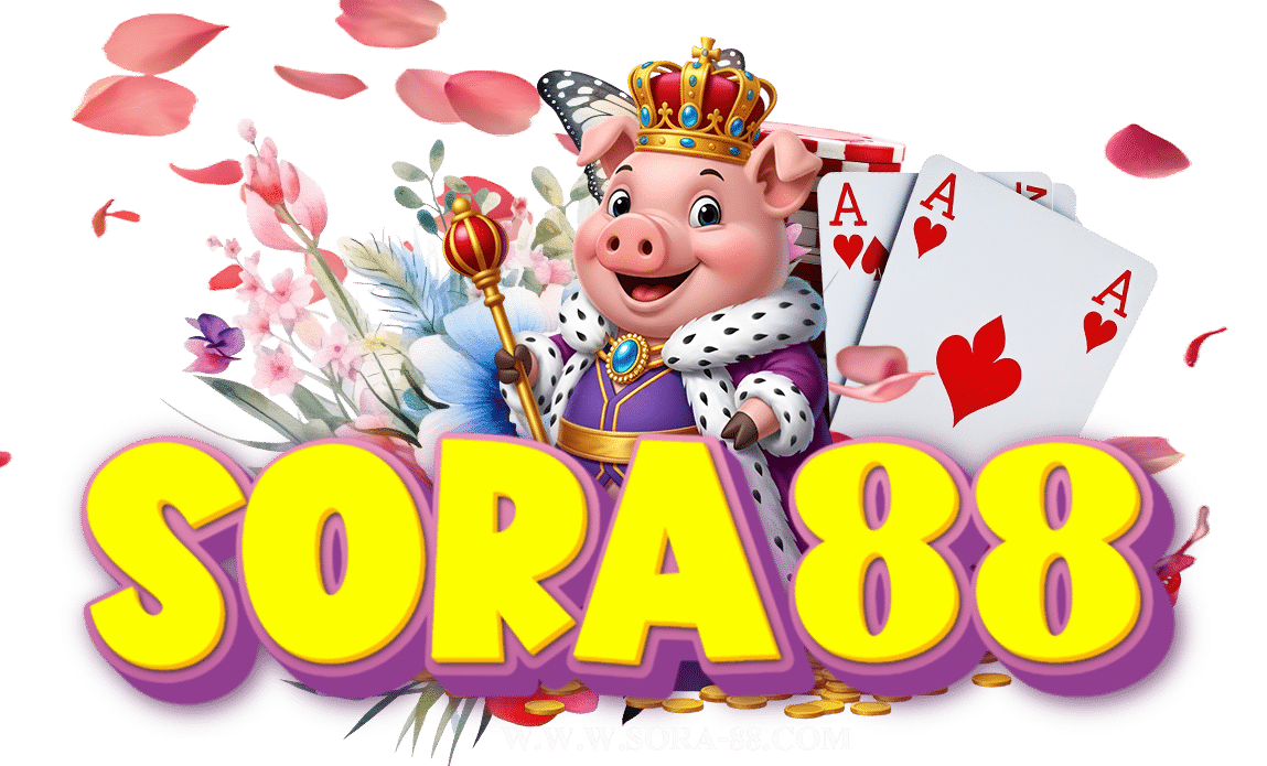 sora-88